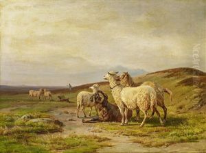 Schafe Auf Der Weide