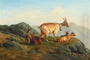 Goats On A Mountain Top