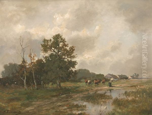 Landschaft Nach Dem Unwetter - view 1