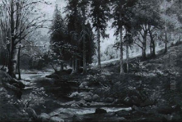 Spatsommertag Am Waldbach - view 1