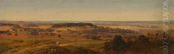 Heidelandschaft - view 1