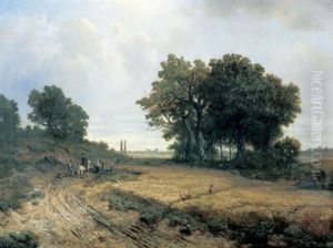 Bauerliche Landschaft Mit Feldweg