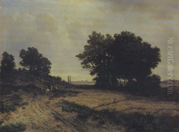 Sommerliche Feldlandschaft - view 1
