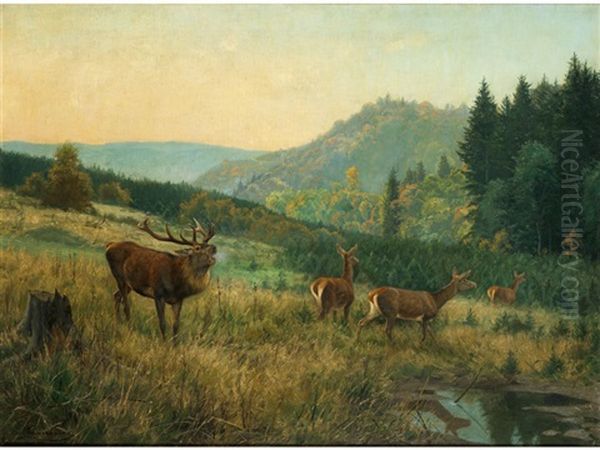 Hirsche Am Waldesrand - view 1
