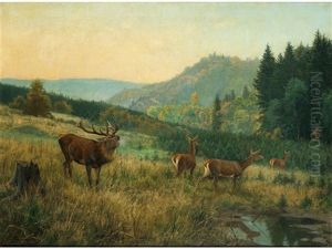 Hirsche Am Waldesrand by Carl Zimmermann