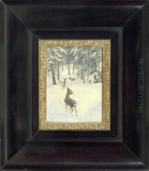 Rehe In Einem Winterwald - view 1