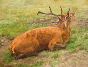 Liegender Hirsch by Carl Zimmermann
