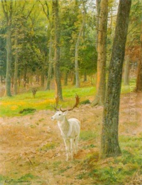 Im Wildpark - view 1