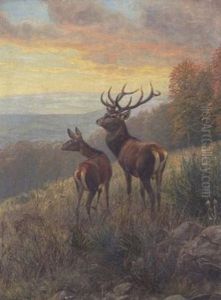 Rotwild Auf Der Lichtung by Carl Zimmermann