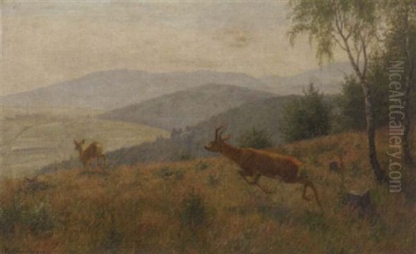 Deer In A Hilly Landscape - view 1