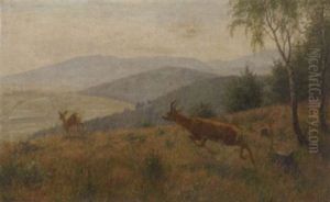 Deer In A Hilly Landscape by Carl Zimmermann