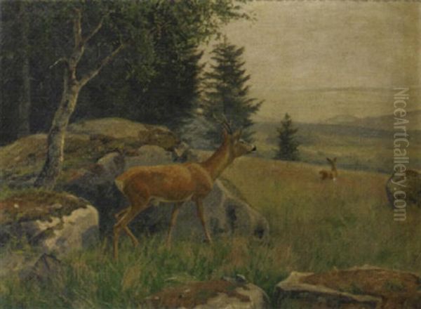 Venturing Out Of The Forest - view 1