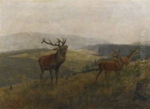 The Noble Stag by Carl Zimmermann