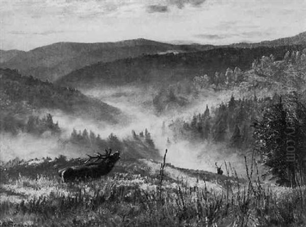 Spatsommerliches Mittelgebirge Mit Zwei Hirschen - view 1