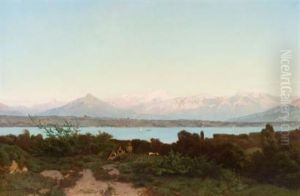 Lac De Geneve Lac De Geneve