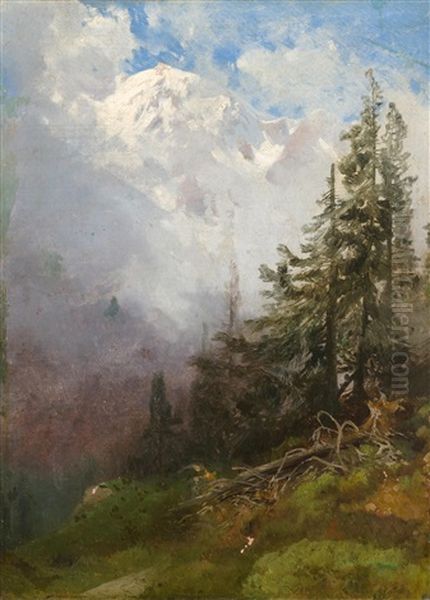 Gebirgslandschaft Mit Aufziehenden Wolken - view 1