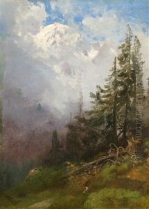 Gebirgslandschaft Mit Aufziehenden Wolken