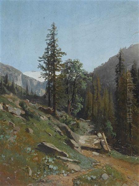 Wanderweg Bei Lauenen - view 1