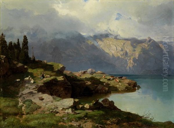 Ufer An Einem Gebirgsee - view 1