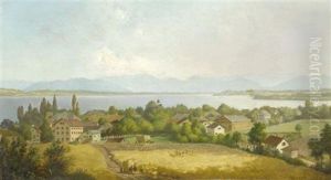 Blick Auf Den Bodensee