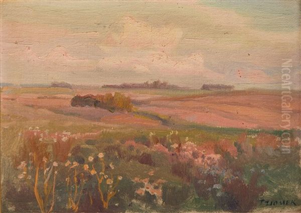 Summer Landscape - view 1