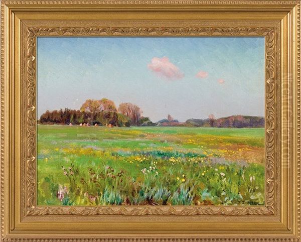 Meadow - view 1