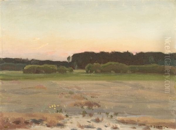 Evening - view 1