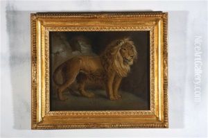 Untitled (lion)