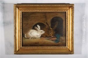 Untitled (rabbits)