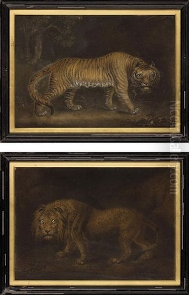 A Lion (+ A Tiger; 2 Works) - view 1