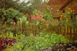 Gemuse- Und Blumengarten Vor Altem Bauernhaus Gemuse- Und Blumengarten Vor Altem Bauernhaus