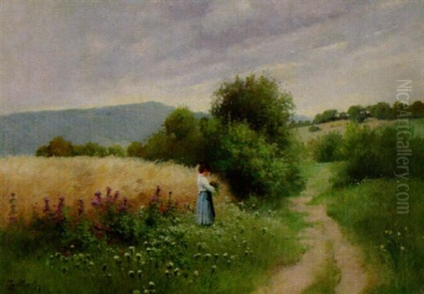 Sommerspaziergang - view 1