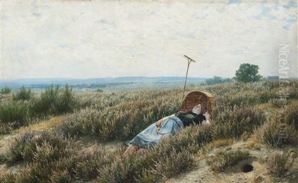 Heide = Frieden - view 1