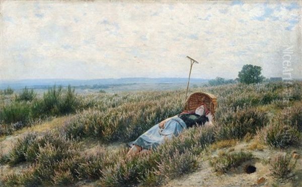 Heide-frieden - view 1