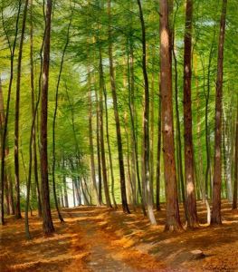 Waldweg In Der Dubener Heide by Emil Zschimmer