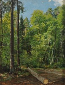 Waldinneres by Emil Zschimmer