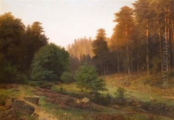Aus Dem Preusischen Oberland - Abendsonne (im Hochwalde) - view 1