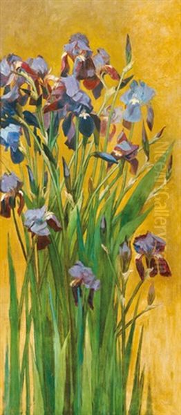 Irises - view 1