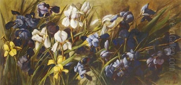 Irises - view 1