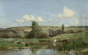 Kuhe Am Ufer, Wohl In Der Provence