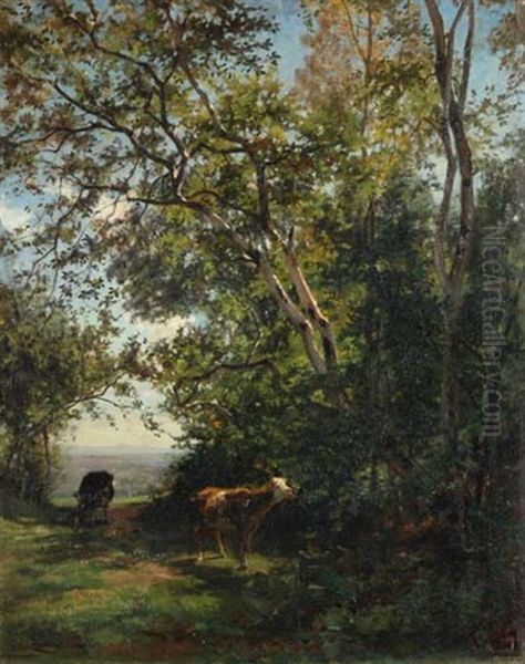 Kuhe Im Wald - view 1