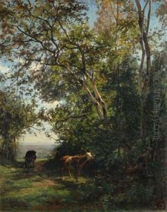 Kuhe Im Wald