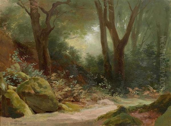 Forest Clearing - view 1