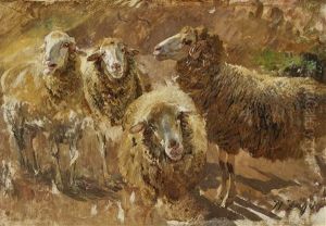 Sheep Studies by Heinrich von Zuegel