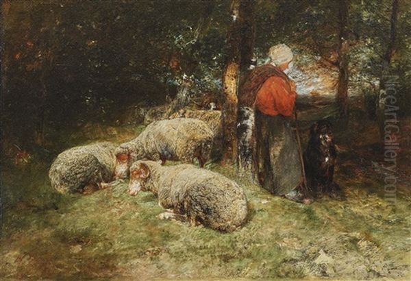 Rest In The Forest - view 1