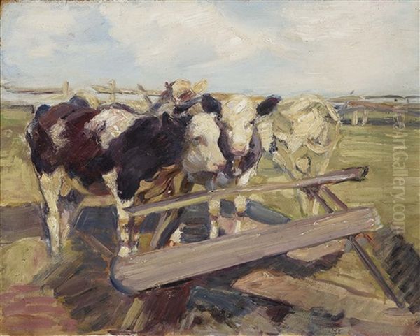 Young Cattle At The Watering. - view 1