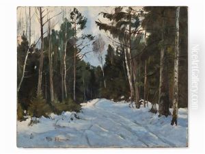 Under Trees During Winter
