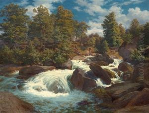 Gebirgsbach (alpine Stream) by Robert Zuend