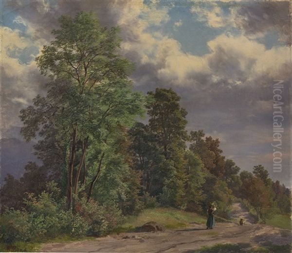 Weg Am Waldrand - view 1