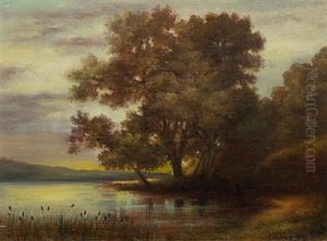 Study Of A Lakeshore